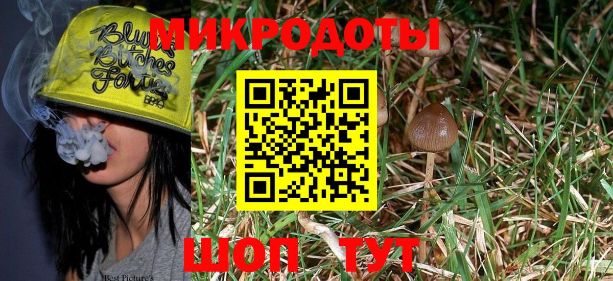 Галлюциногенные грибы мицелий  Галлюциногенные грибы MAGIC MUSHROOMS  Сертолово  Вход с VPN 