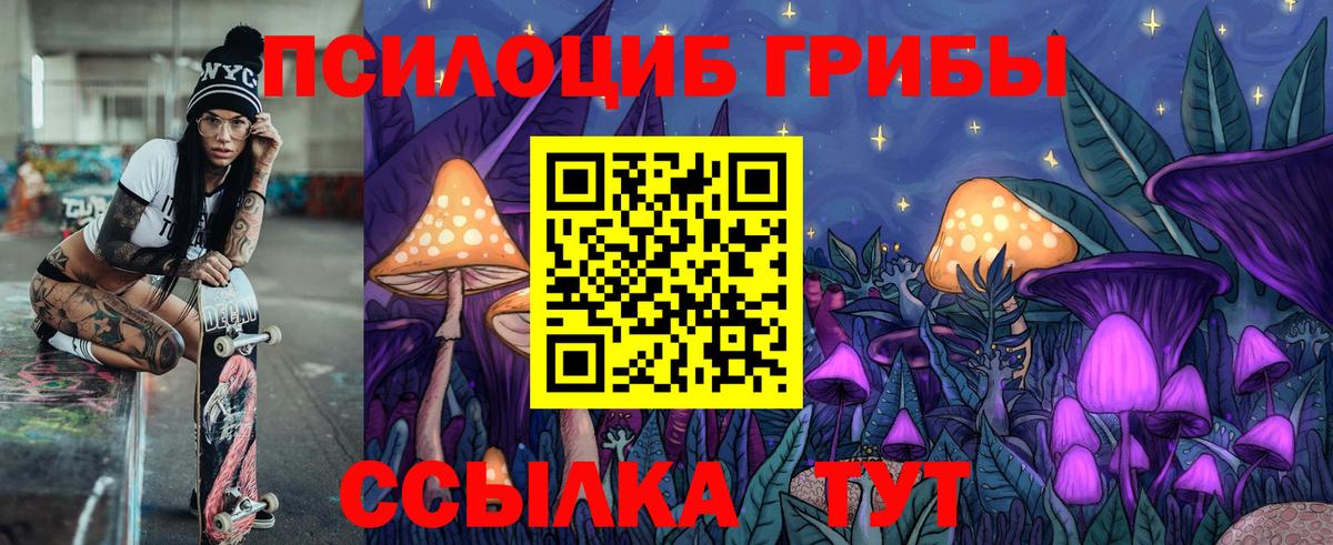 Галлюциногенные грибы Psilocybine cubensis Сертолово